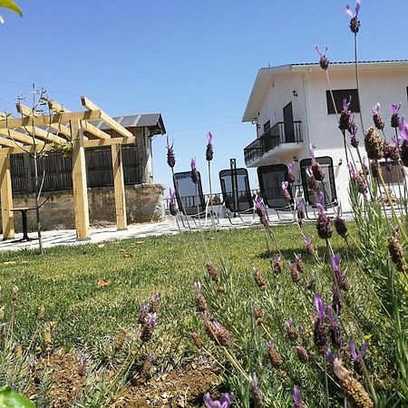 Abrigo Das Andorinhas Aveiro Buitenkant foto