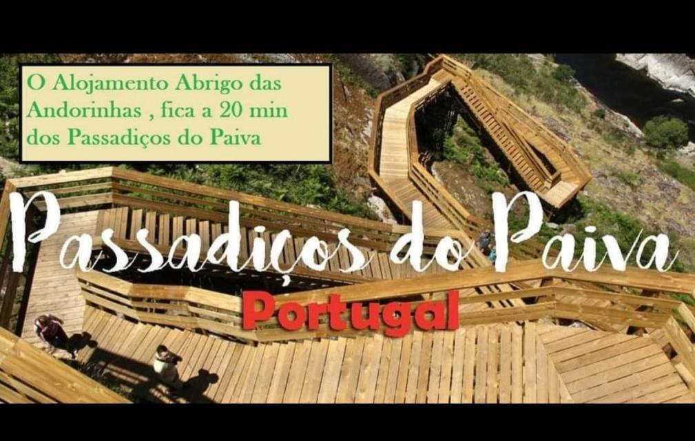 Abrigo Das Andorinhas Aveiro Buitenkant foto