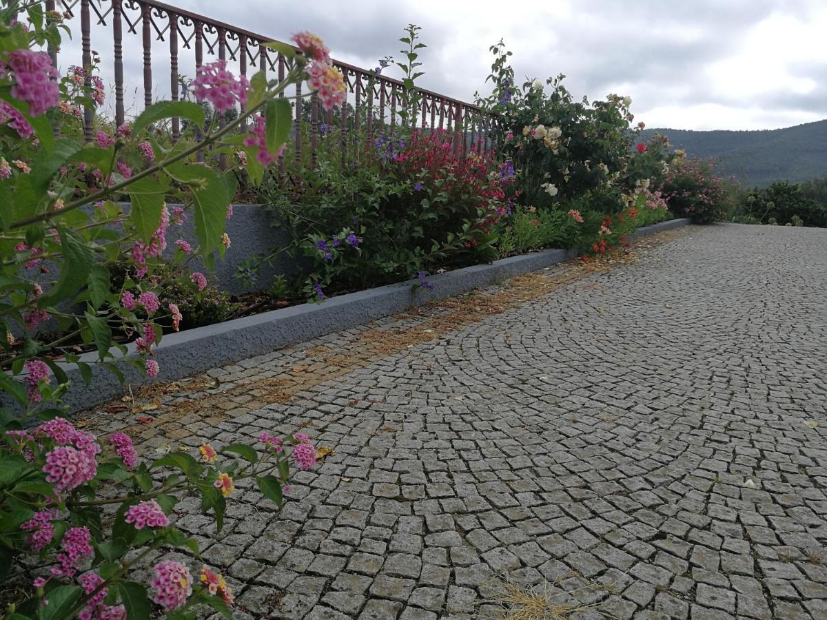 Abrigo Das Andorinhas Aveiro Buitenkant foto