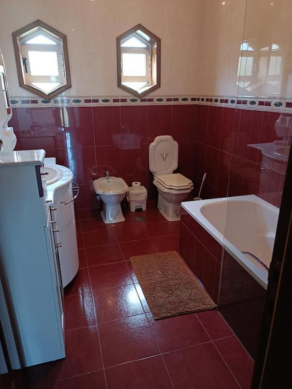 Abrigo Das Andorinhas Aveiro Buitenkant foto